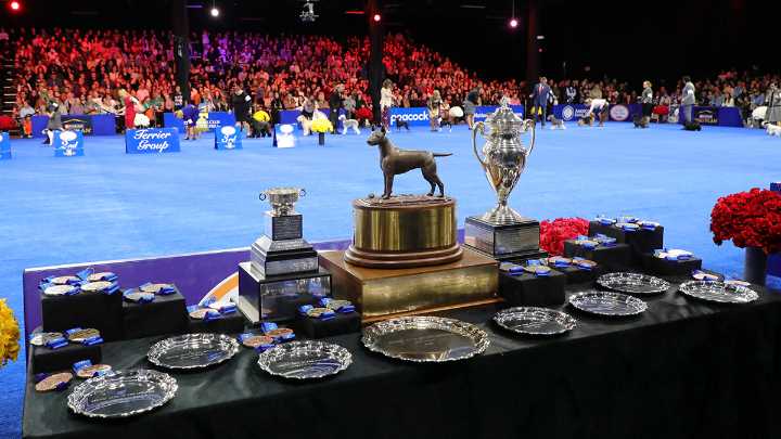 Who won the 2025 National Dog Show?