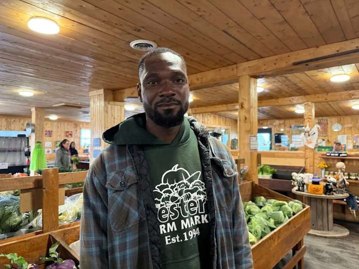 ‘A part of our family’: N.L. farm fundraises for Jamaicans in wake of Hurricane Melissa