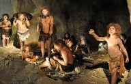Neandertales practicaron ‘canibalismo selectivo’ con mujeres y niños en el norte de Europa