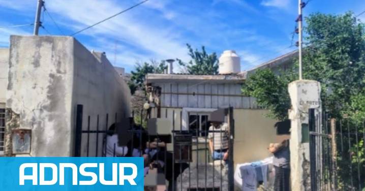 Rescatan a un perro en estado extremo de abandono en Comodoro y la Justicia investiga por maltrato animal