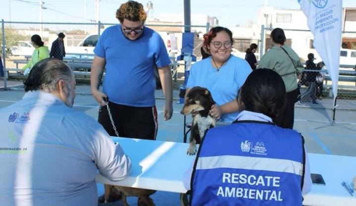 Brindan más de mil servicios veterinarios gratuitos en Minerales