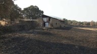 El Gobierno destina 27,8 millones en ayudas para 9.000 agricultores y ganaderos afectados por los incendios del verano