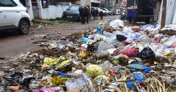 Bengaluru ₹250 for sharing proof of littering? BSWML says not decided yet