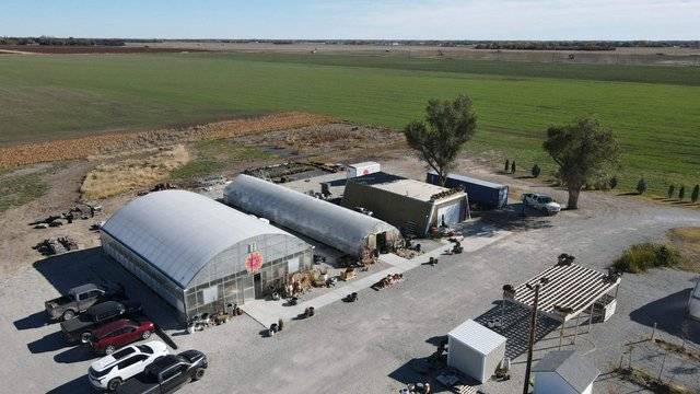 Growth, color, community