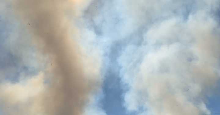 Tucson's Sweetwater Wetlands burn aims to improve visitor experience