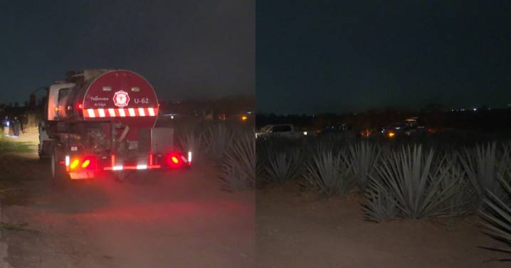 Hallan cuerpo dentro de pozo en campo de agave en Tlajomulco | Zona Metropolitana de Guadalajara