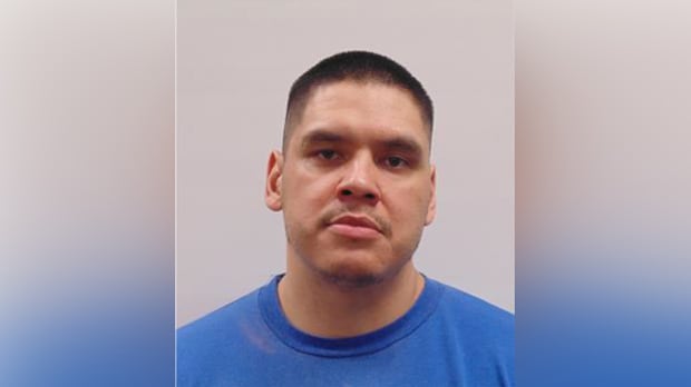 High-risk sex offender released, expected to live in Winnipeg: police