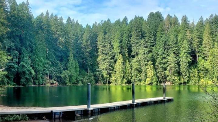 Discover Pass sales drop following Washington's $15 annual fee increase