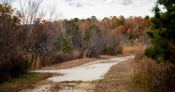 Ex-Van Drew staffer accused of making up politically motivated attack at Egg Harbor Township Nature Reserve