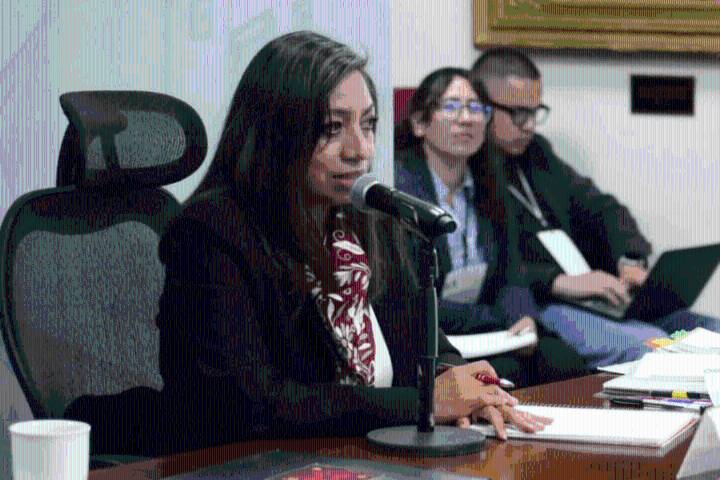 ¿Qué dijo la secretaria de Movilidad y Transporte de Hidalgo sobre el aumento al pasaje en la entidad?