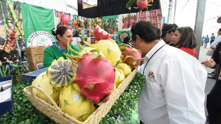 Expo AgroAlimentaria Guanajuato celebra 30 años como referente internacional del sector agroalimentario