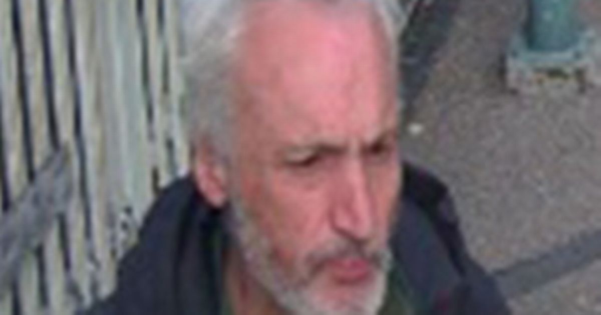 Police release CCTV after man 'exposed himself' onboard train