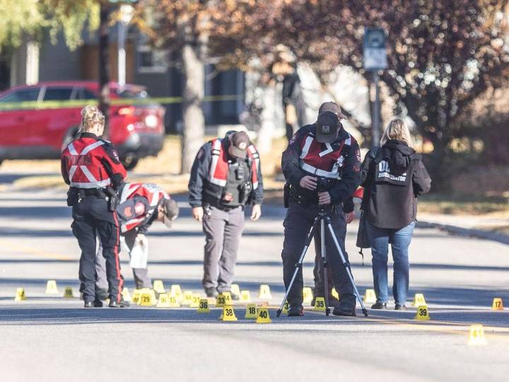 Leong: With pedestrian deaths mounting, drivers need to smarten up