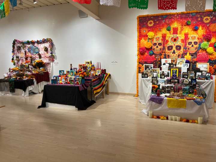 'Death doesn't need to be feared. It can be joyful': Day of the Dead celebrates loved ones in death