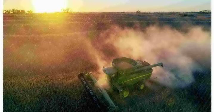 Farmers welcome soybean deal