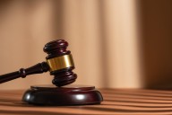 Refugiado de Vietnam con Green Card es liberado tras más de dos meses detenido