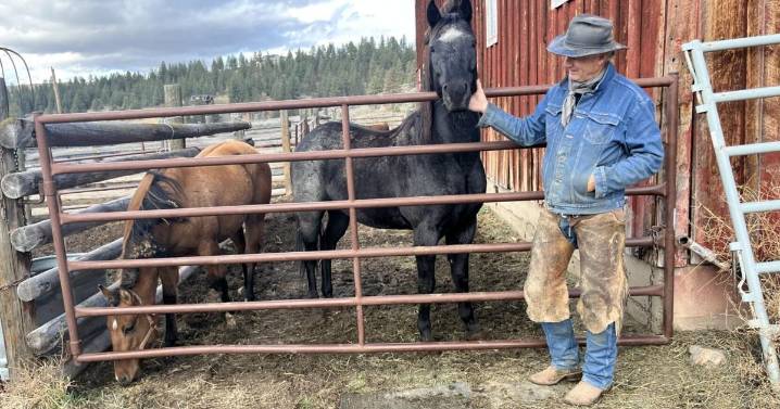 Political strife in Ravalli County quieting, but court order raises questions for state GOP