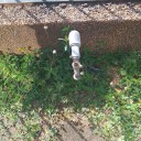 Vecinos de Alta Vista Norte y Río Caura II padecen por falta de agua