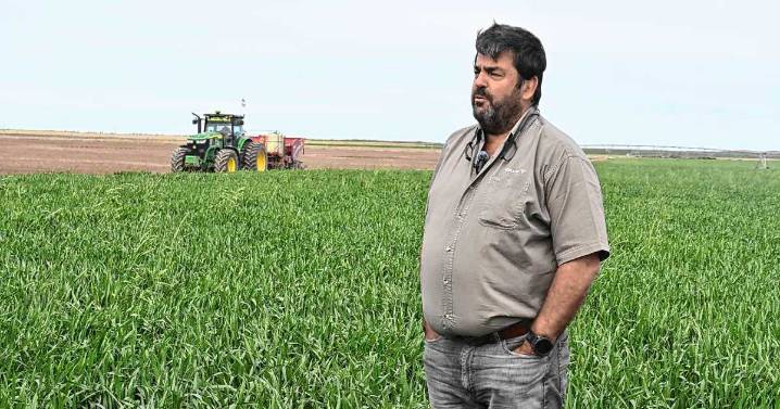 El gran papero argentino que riega desiertos: ya transformó 2.750 hectáreas con agua del río Negro