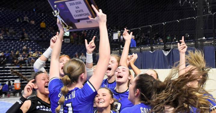 Class AA volleyball: Gallatin has 'surreal' feeling in back