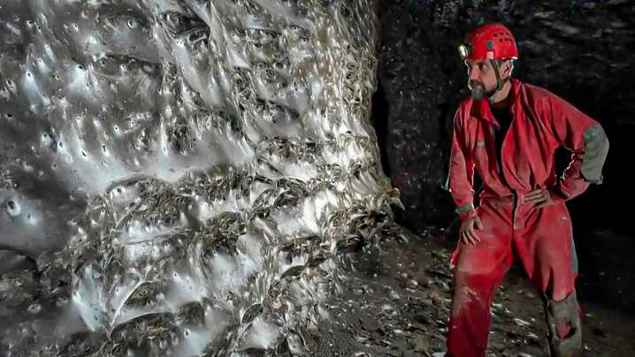 La teleraña más grande del mundo fue descubierta en Europa