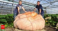Twin brothers grow world’s biggest and heaviest pumpkin; breaks two Guinness World Records