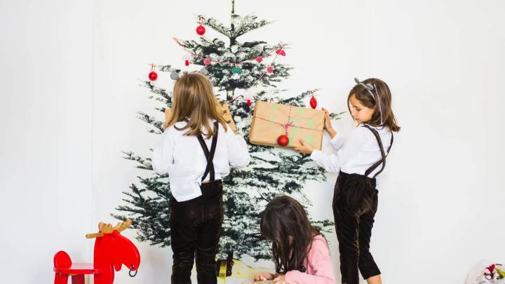 ¿Cansado del tradicional abeto? Guía para elegir el árbol de Navidad y sus precios