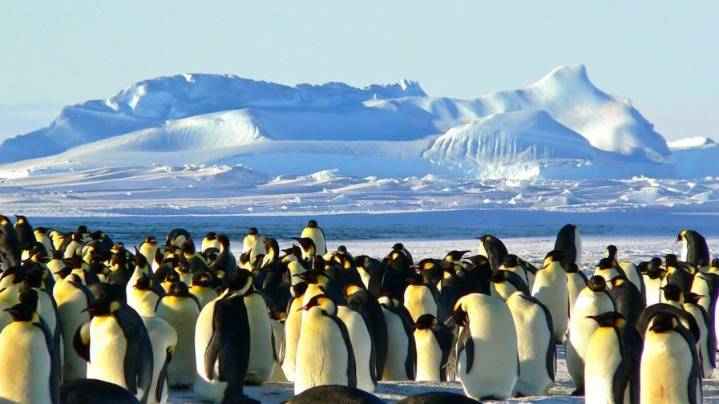Mennonites Eye New Colony in Antarctica