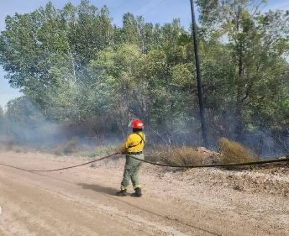 Controlaron un incendio forestal en la zona rural de Picún Leufú