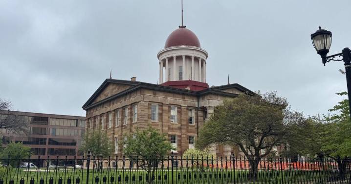 Downtown Springfield ready to shine with upcoming tree lighting event