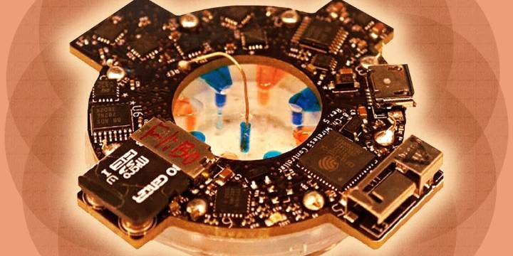 Un vendaje avanzado con inteligencia artificial y terapias personalizadas aceleraría la cicatrización de las heridas