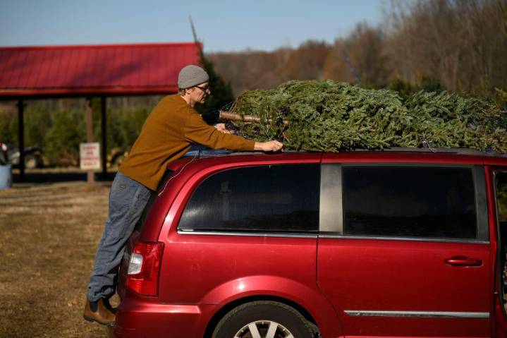 Michigan farms change tradition to meet high demand for Christmas trees
