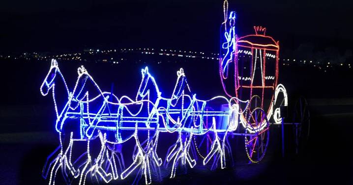 Burlington Festival of Lights returns under new leadership
