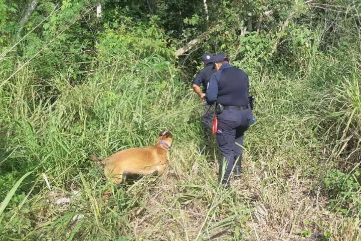 Lo que se sabe sobre los menores yucatecos que viajaron a Tulum por trabajo y hoy están desaparecidos