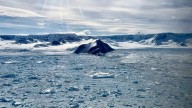 Inquietud entre los científicos: un glaciar de la Antártida retrocede más de 8 kilómetros en solo dos meses