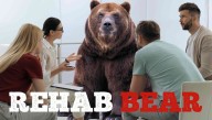 Sequel 'Rehab Bear' Green-Lit By Producers