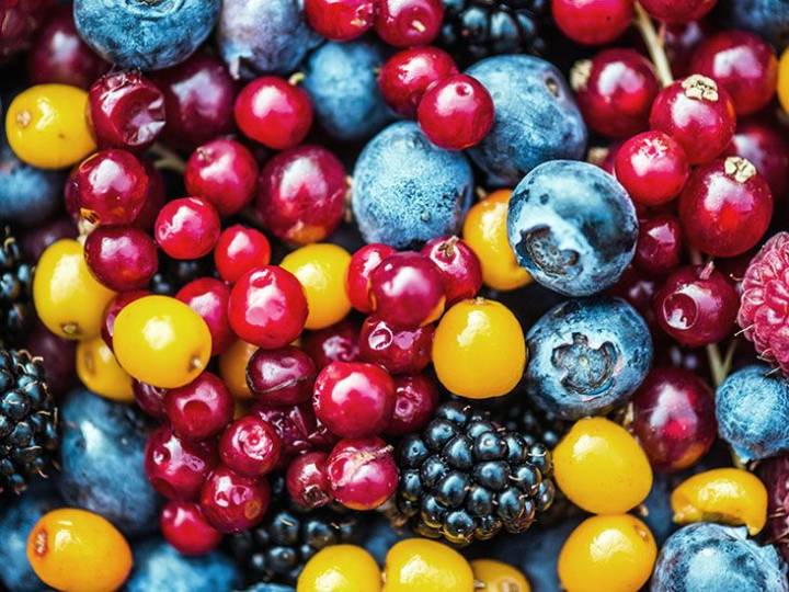 Flavanols in plant foods may stave off effects of being sedentary