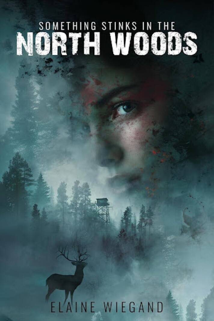 Pillager author publishes 3rd book