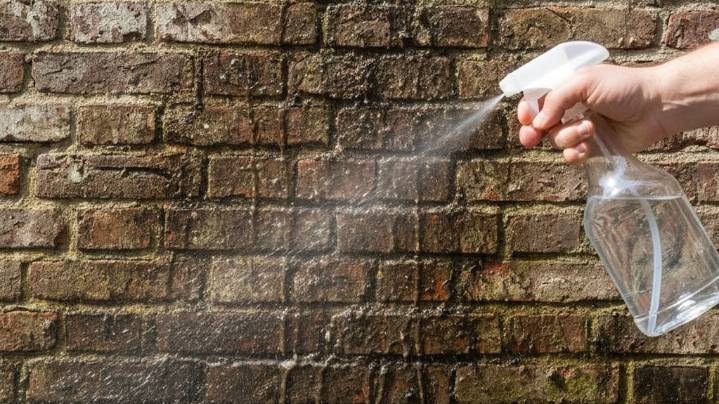Un arquitecto recomienda rociar las paredes con vinagre: para qué sirve