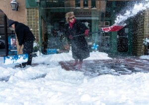 ‘Frozen’ iguanas fall from trees in Florida as record cold arrives