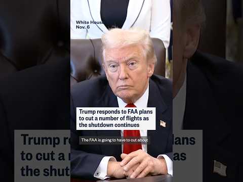 Trump responds to FAA plans to cut a number of flights as the shutdown continues