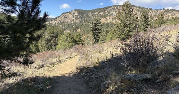 Two new loops trails open in Evergreen