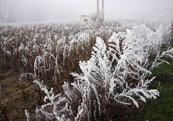 El refrán de las cabañuelas avisa con lo que llega en los próximos días: «Por San Martino...»