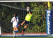 Section 9 girls’ soccer coaches announce all