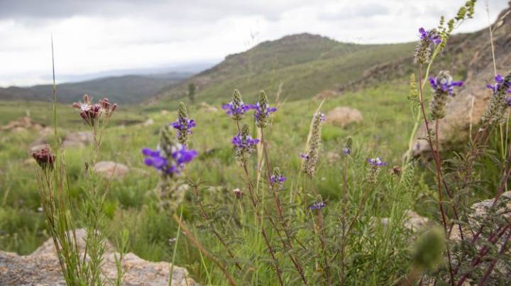 Anuncian un miércoles algo nuboso, pero con buen tiempo general
