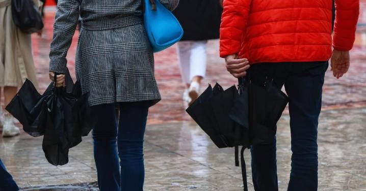 Mapa de las zonas de Málaga en riesgo de inundación
