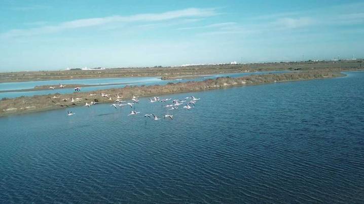 San Fernando impulsa la Semana de los Esteros del 20 al 23 de noviembre