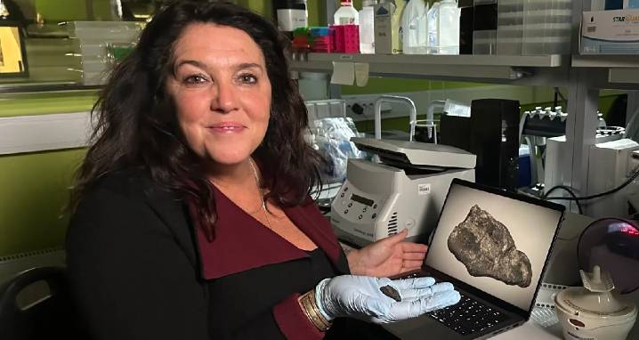 Archaeologists In Estonia Find 10,500