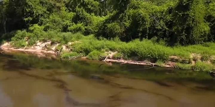 State officials downplay arsenic found in Tangipahoa River seafood after Smitty’s Supply explosion