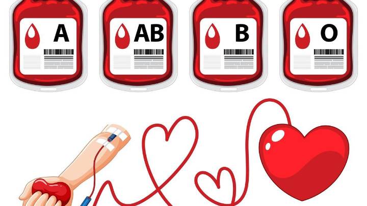 ¿Cómo es la sangre de los canarios? Estos son los tipos más frecuentes en la población de las Islas